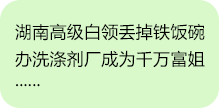 湖南省9I果冻制作厂化有限（xiàn）公司