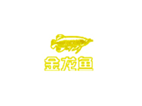 金龍魚（yú）