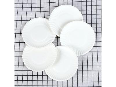 白（bái）卡紙圓形紙碟